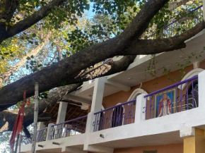 Big Tree Guest House